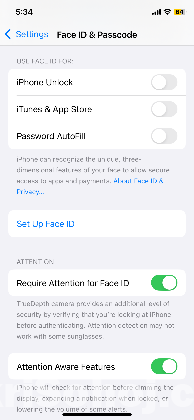 Iphone xs